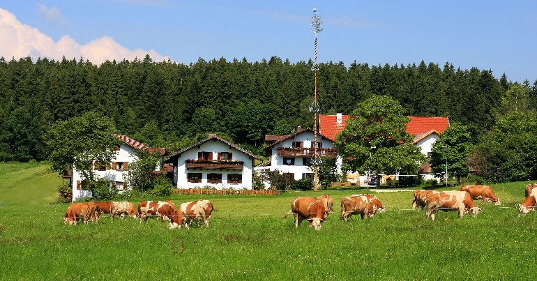 Bauernhofurlaub in Bayern Kinder und Familienurlaub im Bayerischen wald